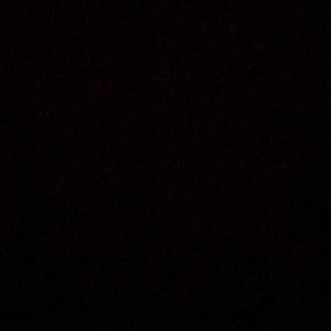 Meet your Posher, Langston